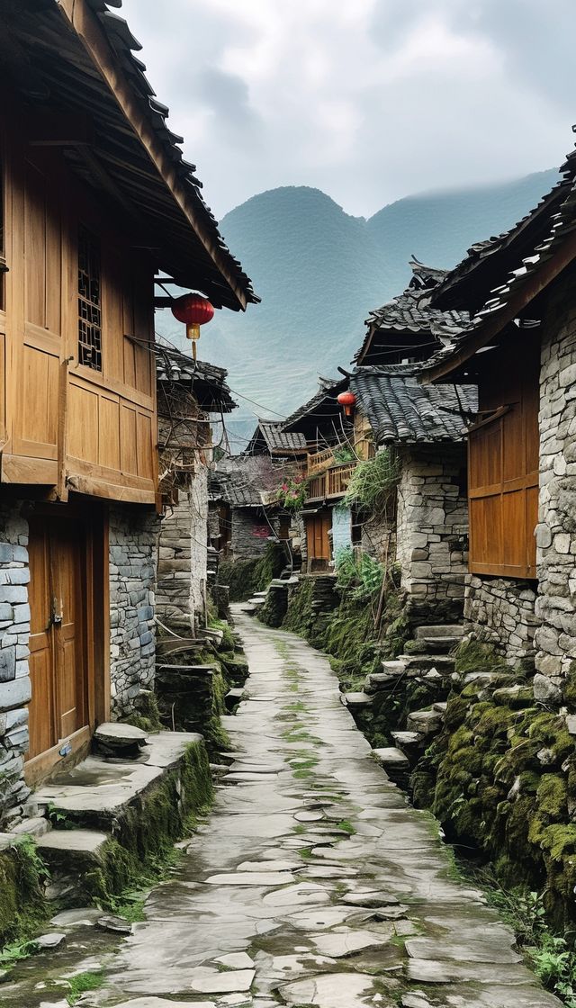 霧裡看花仙境之旅