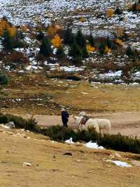 川西冬日天花板！木格措靚到令人詞窮
