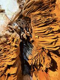 武漢自駕1.5h直達咸寧隱水洞|坐穿才能看到的地下奇怪