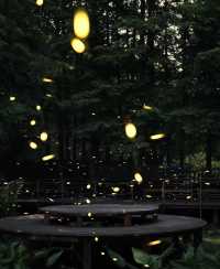 莫干山神仙民宿！私湯+星空+螢火蟲躺平天花板