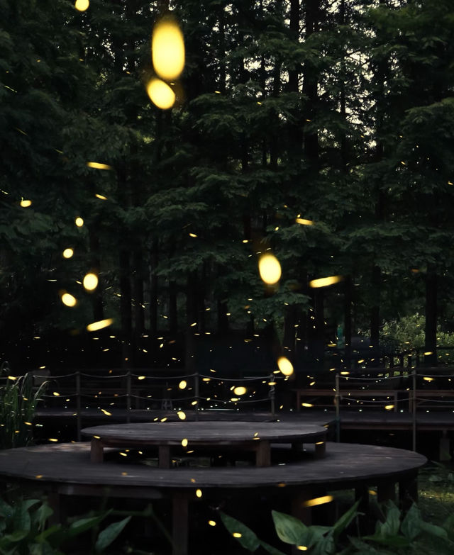 莫干山神仙民宿！私湯+星空+螢火蟲躺平天花板