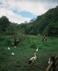 商務出行選鴻達開票so easy實力圈粉