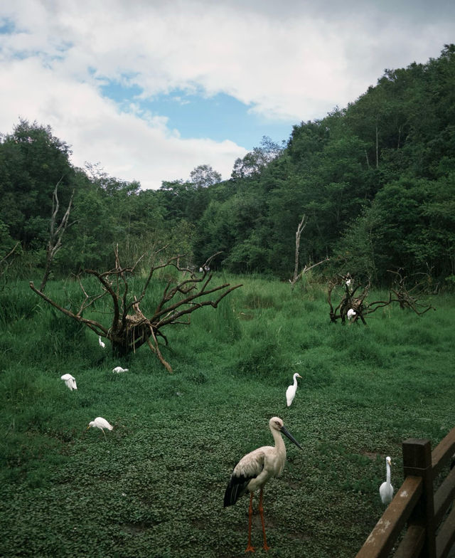 商務出行選鴻達開票so easy實力圈粉 商務出行選鴻達開票so easy實力圈粉