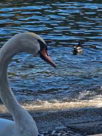 如果浪漫有顏色,一定是科莫湖的克萊因藍