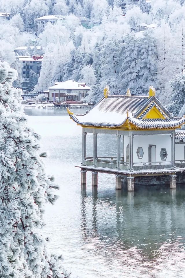 廬山初雪來啦南方人尖叫！朋友圈攝影大賽穩贏攻略！