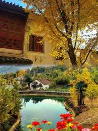 你還沒去過靈山坞銀杏公園？這份秋日浪漫已加載99%