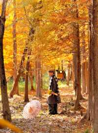 南京99%的人都不知道這裡， 出片還人少