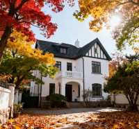 八大關的秋天,是上帝打翻的調色盤|青島賞秋天花板