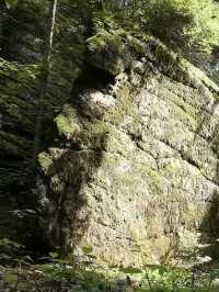 在伊春找到了現實版綠野仙蹤!!|湯旺河林海奇石的一天