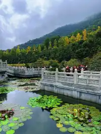 這是我花5蚊雞就能看到的景色？！？！