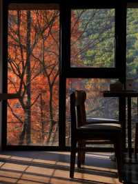 莫干山秋天的2種打開方式(附路線攻略)