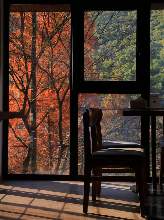 莫干山秋天的2種打開方式(附路線攻略) 莫干山秋天的2種打開方式(附路線攻略)