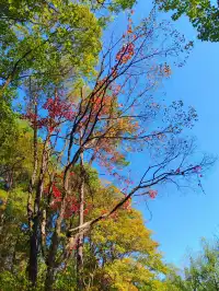 龍游石窟|衢州免費遊第四站!闖入千年迷窟