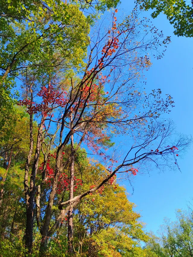 龍游石窟|衢州免費遊第四站!闖入千年迷窟 龍游石窟|衢州免費遊第四站!闖入千年迷窟