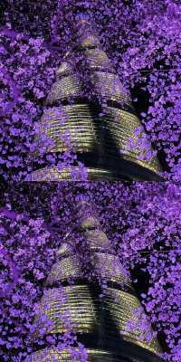 上海真的殺瘋了！！！！！！！！！！！！！