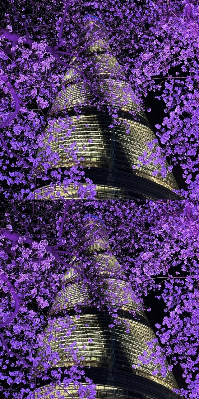 上海真的殺瘋了！！！！！！！！！！！！！