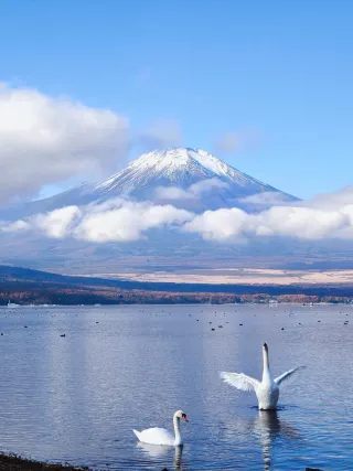 Why get up at 5:30 to go to Mount Fuji? I was amazed