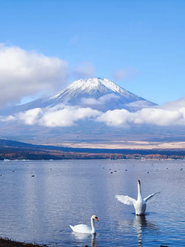 為什麼要5:30起來去富士山，被驚艷到