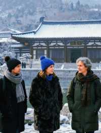 西安外賓Travel全程雙語導遊超省心