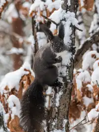 再吃，再吃就把你拍下來，放到網上去！