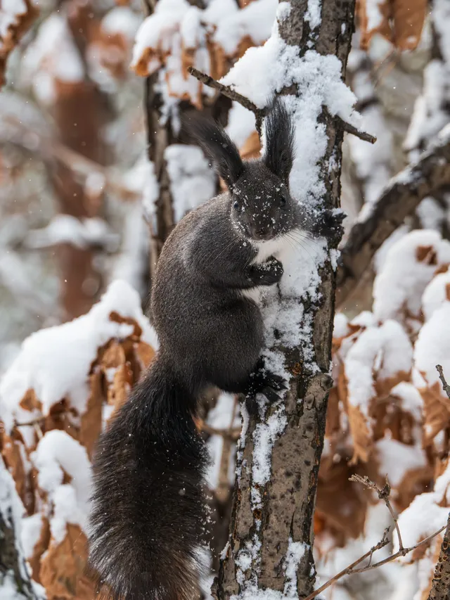 再吃，再吃就把你拍下來，放到網上去！