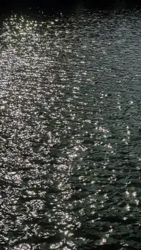 如琴湖的秋，是楓葉寫給山水的情書。