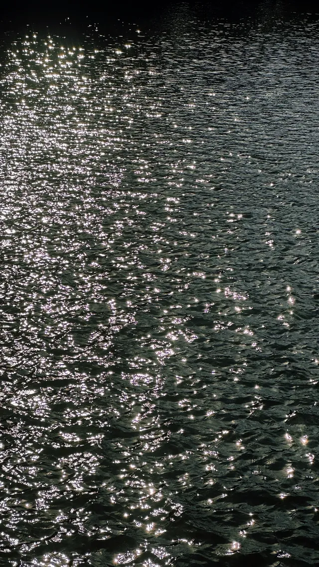 如琴湖的秋，是楓葉寫給山水的情書。