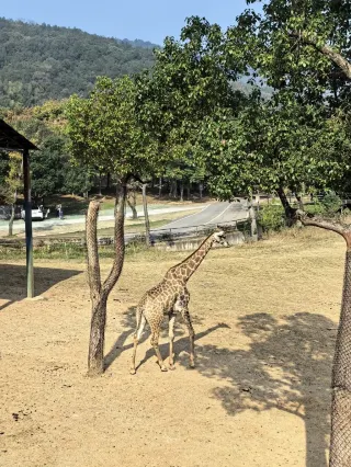 湖州龍之夢遛娃記｜把假期過成沉浸式童話