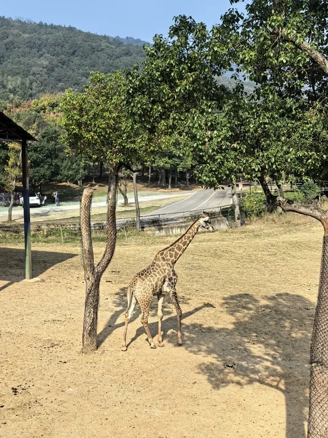 湖州龍之夢遛娃記|把假期過成沉浸式童話 湖州龍之夢遛娃記|把假期過成沉浸式童話