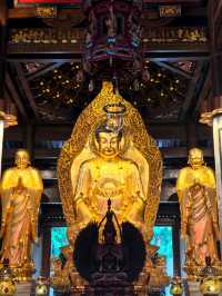 廈門必打卡！南普陀寺超全遊玩攻略