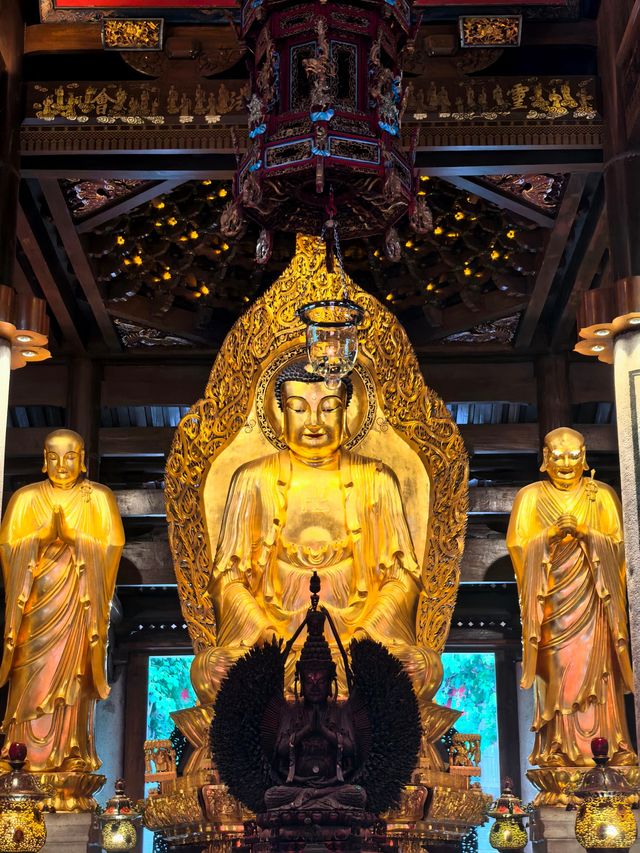 廈門必打卡！南普陀寺超全遊玩攻略