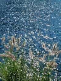 3天玩透大理白族自治州超省心攻略來了