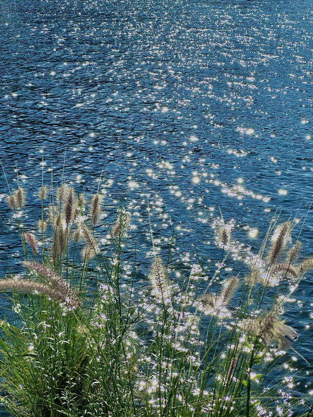 3天玩透大理白族自治州超省心攻略來了 3天玩透大理白族自治州超省心攻略來了