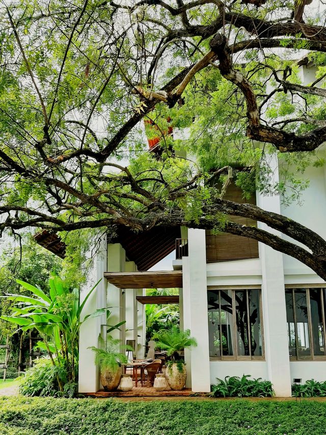 清邁神仙酒店住進南洋舊夢真的太絕了！