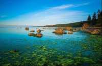 油城有油更有遊