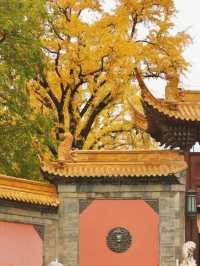 保姆級出片指南朝天宮藍白穿搭攻略