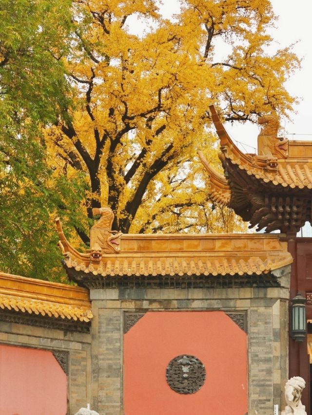 保姆級出片指南朝天宮藍白穿搭攻略