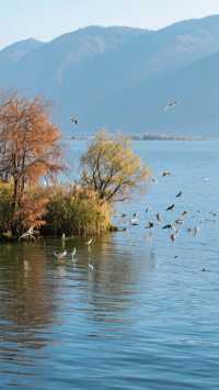 12月的西昌四天三晚,玩轉小春城!