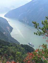 三峽之巔10km紅葉季獎牌get