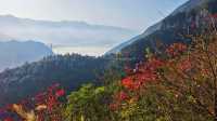 三峽紅葉與雲海,太美啦!