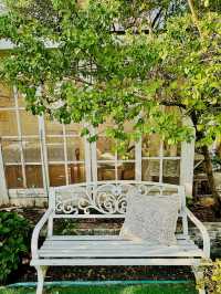 深圳絕美法式小花園!一秒穿越浪漫巴黎