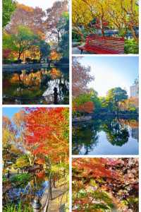 魔都限定秋色!魯迅公園賞楓全攻略錯過再等365天