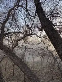 甘青線淡季遊敦煌（下）