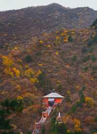 停車自由才是真自由鴻達酒店