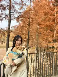 12.1實況live紹興鳳凰山美翻了!!!!!!