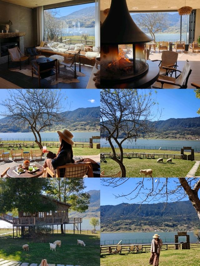 麗江的阿勒泰 文海村這家咖啡館一定要去❗️ 麗江的阿勒泰 文海村這家咖啡館一定要去❗️