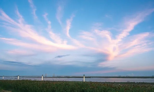這個城市還有兩副面孔呢 這個城市還有兩副面孔呢