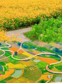 宿遷三臺山絕美仙境98%森林覆蓋超治癒！