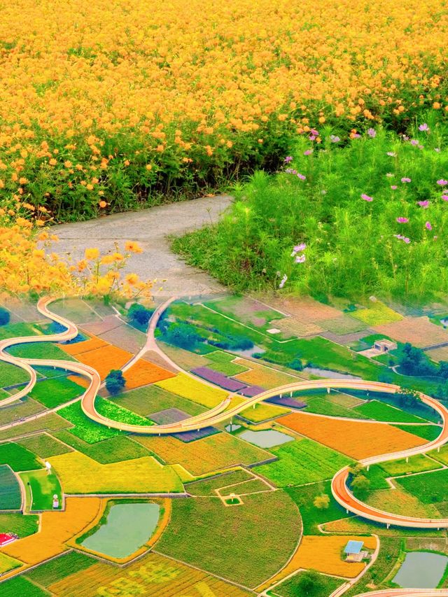 宿遷三臺山絕美仙境98%森林覆蓋超治癒！