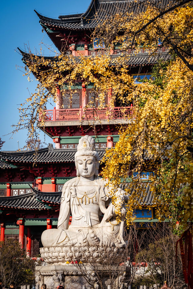 南京秋日毗盧寺的銀杏與佛光 南京秋日毗盧寺的銀杏與佛光